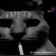 redsPoof