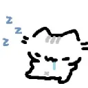Cat_sleep