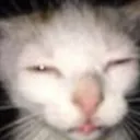 huh