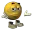 SA_indeed