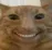 smilycat