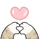 KittyPaw20