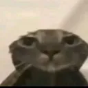 bruh