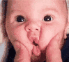teddy_Cutebaccha Discord emoji