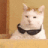 ysp_swagcat Discord emoji