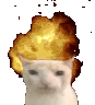 jihadcat