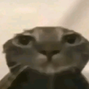 emoji_57 custom emote | Las Patas de Vaporeon