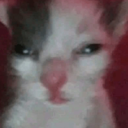 emoji_64 Discord Emoji - Las Patas de Vaporeon