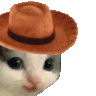 :1158mmeowdy: