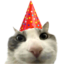 :8018partycat: