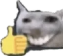 samthumbsup