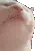 <a:dancingcat2:1378532984143220737>
