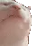 dancingcat2