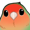 Coco_cutestare
