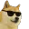 DogeCool