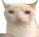 guh