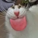 emoji_48