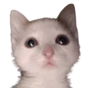 emoji_14