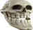 skulley