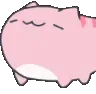 pinkcatnod pinkcatnod