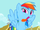 dashbleh