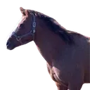 pensivehorse