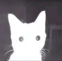 What