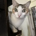 shocked