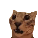 0_atsurprised