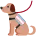 servicedogtrans