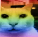 whatCat