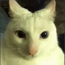Floppy
