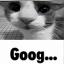 goog