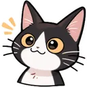 AugustCat AugustCat