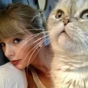 a_taylorcat
