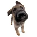 emoji_22