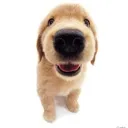 emoji_24