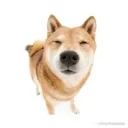 emoji_25