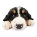emoji_29
