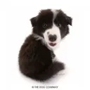 emoji_33