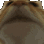 KU_CotNodExtreme Discord emoji