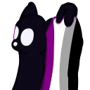 watcherace