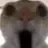 Arg