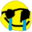 R_sunglascri