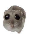 hehe