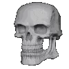 rotating_skull