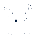 NGC_winner