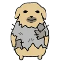 beta
