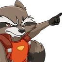 48422roicketracoonpoint