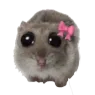 sadhamsterbow